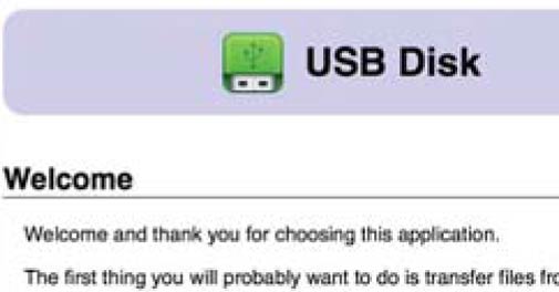 USB Disk 