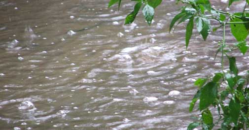 Monsoon to hit Kerala on time on June 1: Weather office