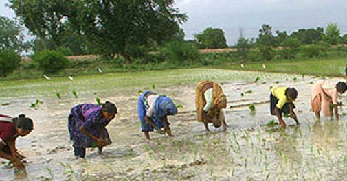 Monsoon arrives in Kerala