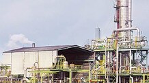 MRPL, IOC keen on buying shares of Haldia Petrochemicals Ltd Sources said HPL is in dire straits due to the discord between TCG and the state government.