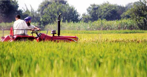 Govt forecasts record foodgrain output for 2011-12