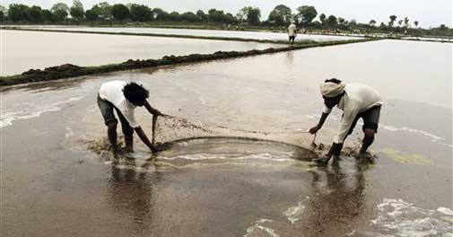 Monsoon playing hide and seek, but no drought yet: Sharad Pawar