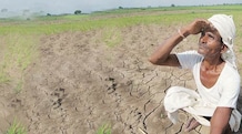 Drought-like situation to hit several sectors like FMCG, banking, auto and fertiliser