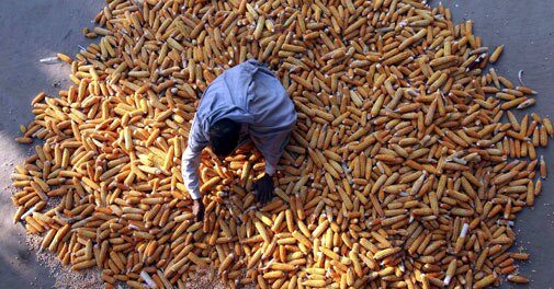 Indian economy likely to grow at 6.3 per cent in 2013: RBS