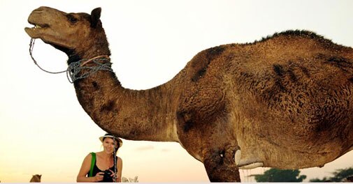 In Pics: A Piece of Pushkar