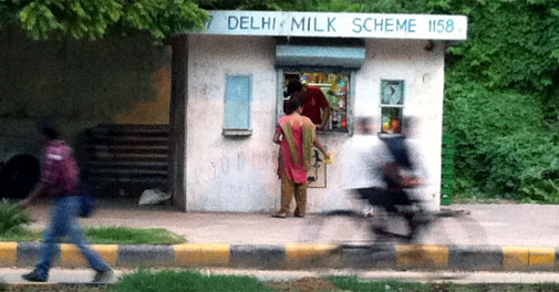 Cabinet gives in-principle nod for corporatisation of Delhi Milk Scheme