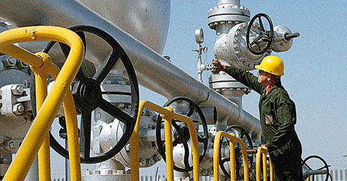 RIL has agreed to CAG audit: Oil Secy 