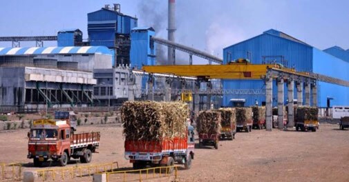 Cabinet clears decontrol of sugar sector