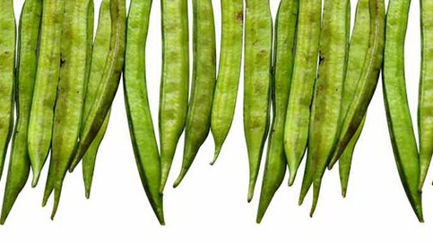 Invest with caution in guar futures, little chance of price rally Invest with caution in guar futures, little chance of price rally
