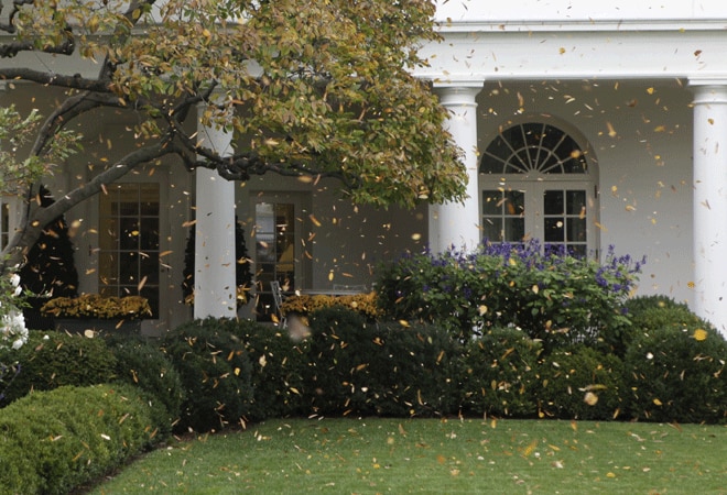 US government shutdown hit economy, wasted money: White House