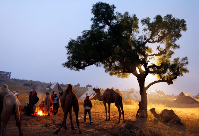 Pushkar Fair in Rajasthan <em>Photo: Reuters</em>