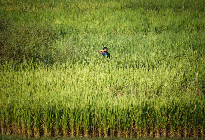 <em>Photo: Reuters</em>