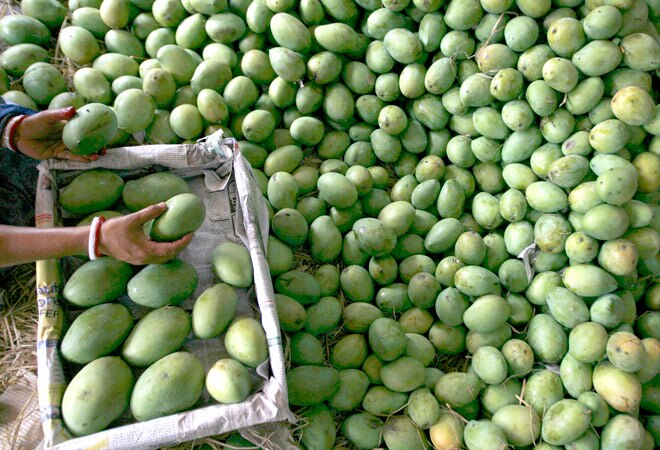 India asks EU to lift mango ban, says checks in place BusinessToday