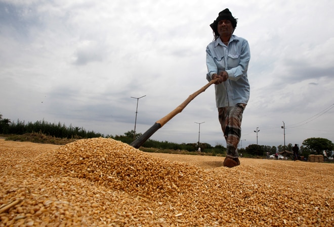 Wheat procurement starts on a tepid note 