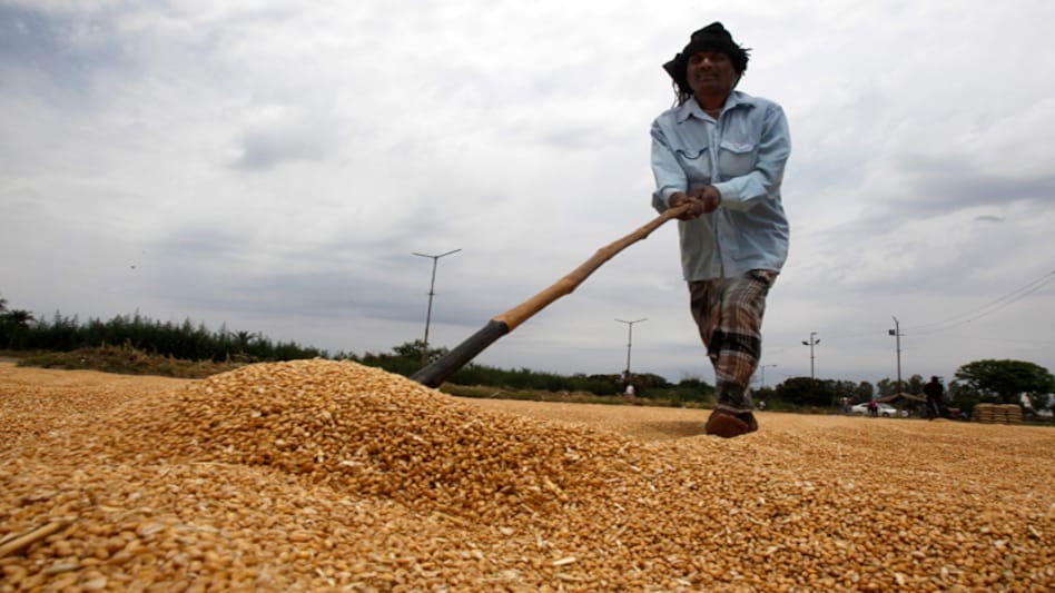 Wheat procurement starts on a tepid note Wheat procurement starts on a tepid note