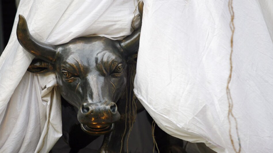 Bullish Narendra Modi sets bull on rampage Bullish Narendra Modi sets bull on rampage