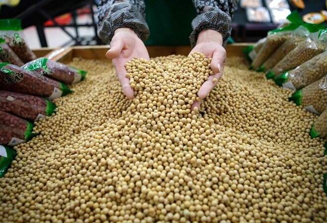 Soybean prices rise 9% since April, kharif crop may be impacted in MP