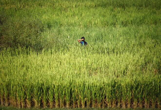 Small tweaks could bring big changes in APMC Act, say experts