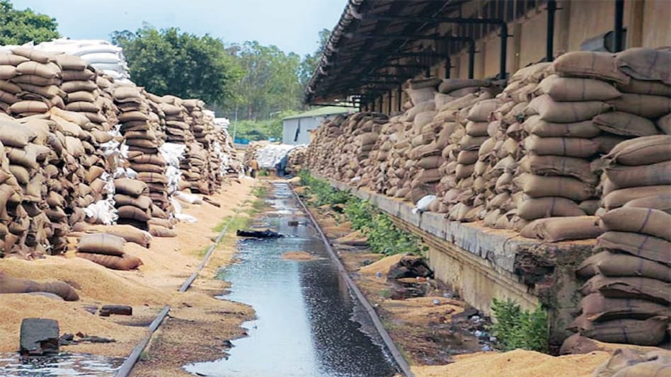 Wheat, rice stuck in FCI godowns due to official lethargy Wheat, rice stuck in FCI godowns due to official lethargy