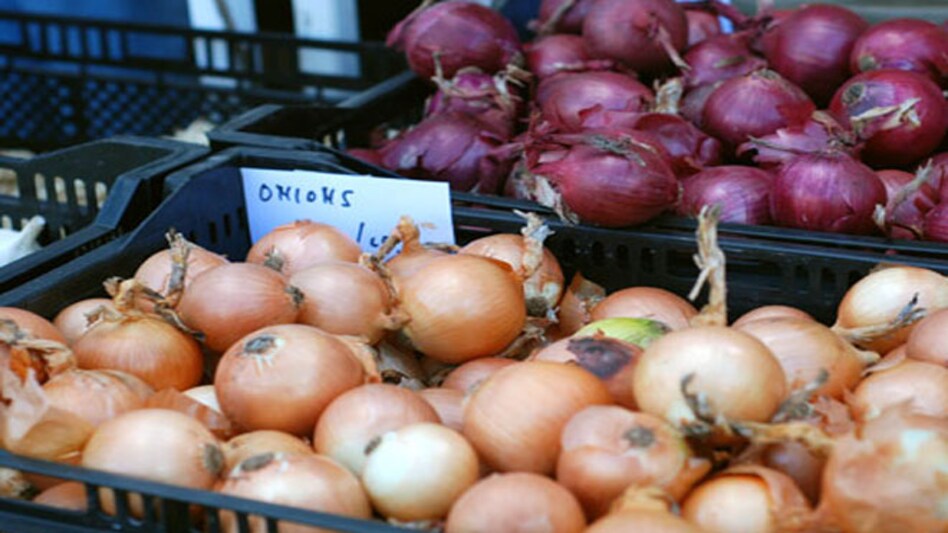 Delhi govt to procure onions from Nasik on daily basis Delhi govt to procure onions from Nasik on daily basis