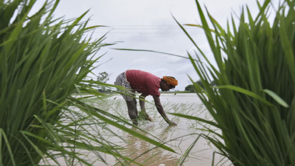 El Nino could hit Indian agriculture this monsoon El Nino could hit Indian agriculture this monsoon