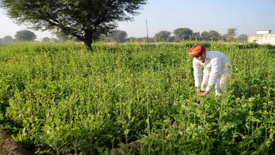 Agriculture gets priority in Narendra Modi govt's first Budget Agriculture gets priority in Narendra Modi govt's first Budget
