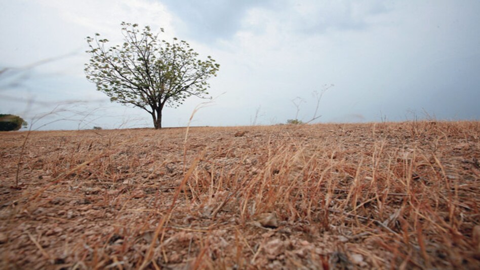 Few signs of rain: A parched agricultural field in Satara, Maharashtra. Photo: Mandhar Deodhar Few signs of rain: A parched agricultural field in Satara, Maharashtra. Photo: Mandhar Deodhar