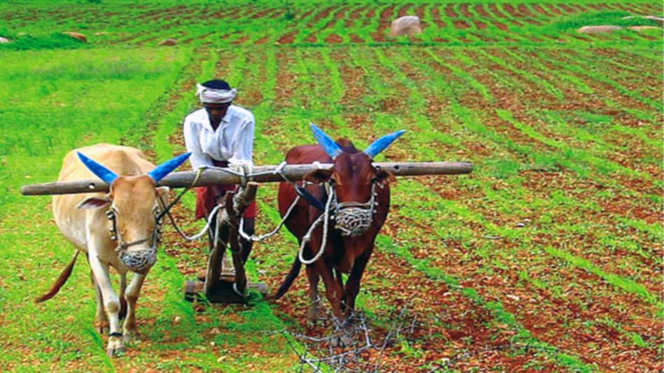 Budget 2014 announces Price Stabilisation Fund for farmers Budget 2014 announces Price Stabilisation Fund for farmers