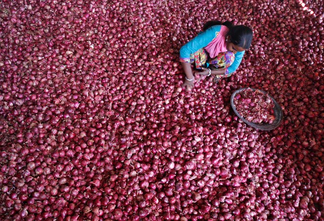Govt to limit stockholding of onions, potatoes to check hoarding Govt to limit stockholding of onions, potatoes to check hoarding
