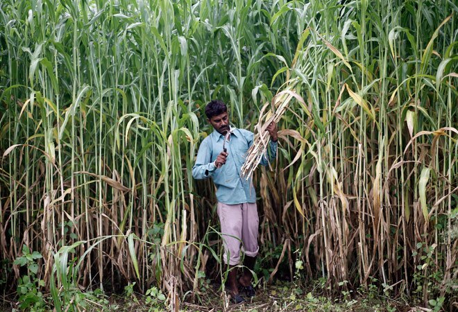 UP govt issues notices to 52 sugar mills over cane arrears