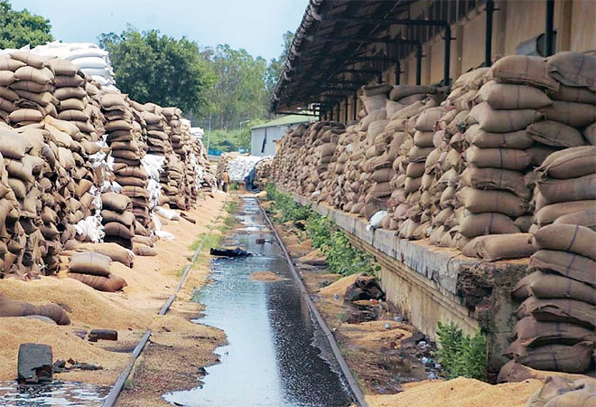 Govt forms panel to study restructuring of FCI Govt forms panel to study restructuring of FCI