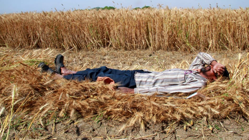 The new nationalist government has insisted that a permanent agreement on its subsidised food stockpiling must be in place at the same time as the trade facilitation deal. (Photo:Reuters) The new nationalist government has insisted that a permanent agreement on its subsidised food stockpiling must be in place at the same time as the trade facilitation deal. (Photo:Reuters)