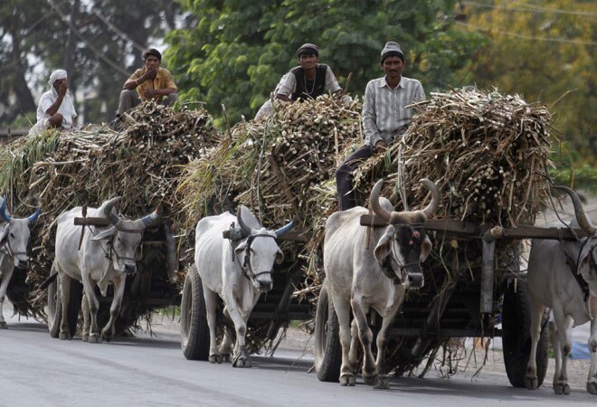 Govt may raise sugar import duty if mills clear arrears Govt may raise sugar import duty if mills clear arrears