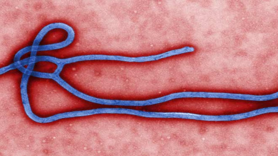 Photo for representation purposes only. (Source: Reuters) Photo for representation purposes only. (Source: Reuters)