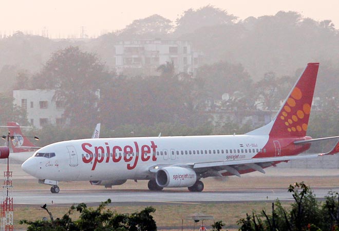 SpiceJet aircraft buffalo hit: DGCA orders inquiry, issues alert SpiceJet aircraft buffalo hit: DGCA orders inquiry, issues alert
