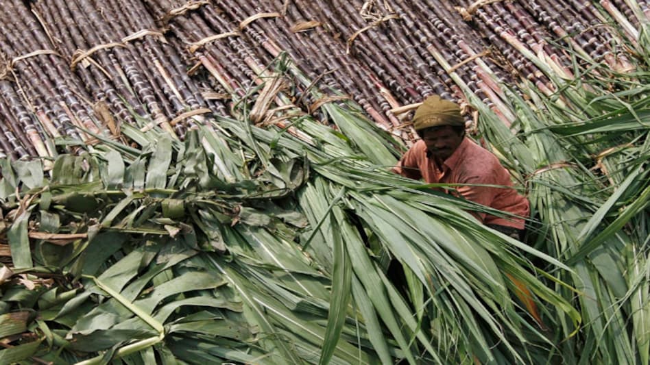 Photo: Reuters Photo: Reuters