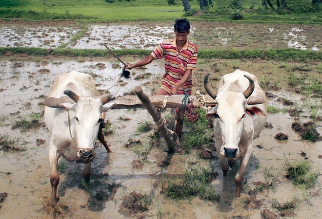 Govt to focus on more access to irrigation, innovations for farmers Govt to focus on more access to irrigation, innovations for farmers
