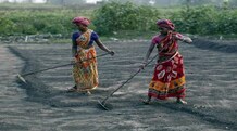 Union Budget 2015-16: Govt may marginally cut fertiliser subsidy "There is no plan to increase fertiliser prices," one of the sources told Reuters.