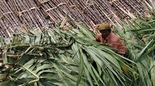 Govt backs incentives to export 1.4 million tonne raw sugar Photo: Reuters
