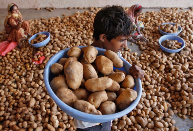 Bumper crop brings misfortune to potato farmers Photo: Reuters