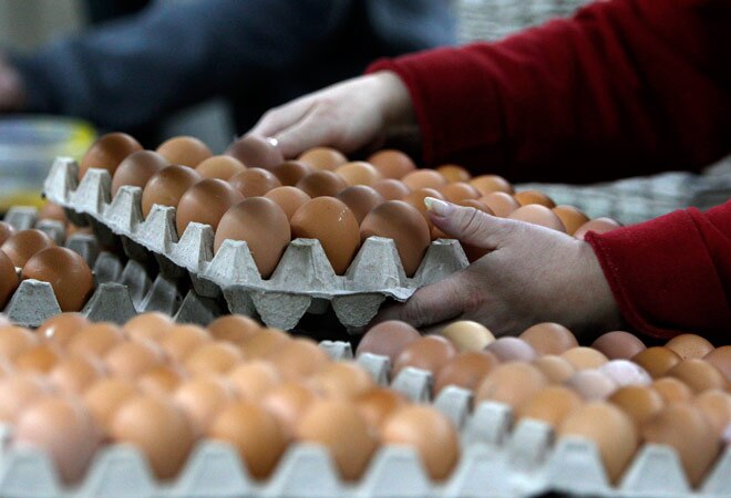 Telangana attempts to contain bird flu outbreak - Telangana attempts to