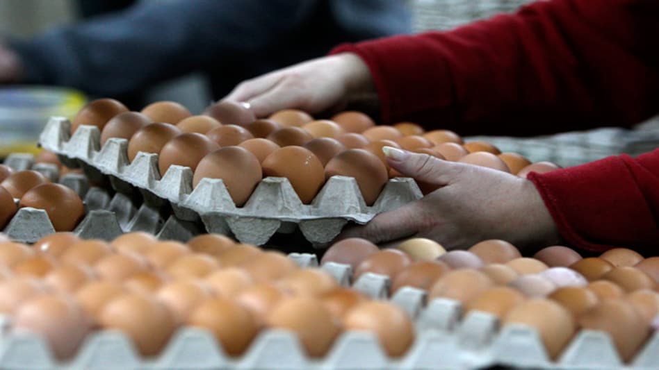 Telangana attempts to contain bird flu outbreak - Telangana attempts to