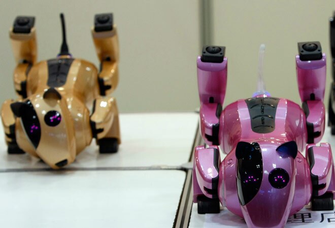 'Robot pets' may become reality in near 'overpopulated' future 