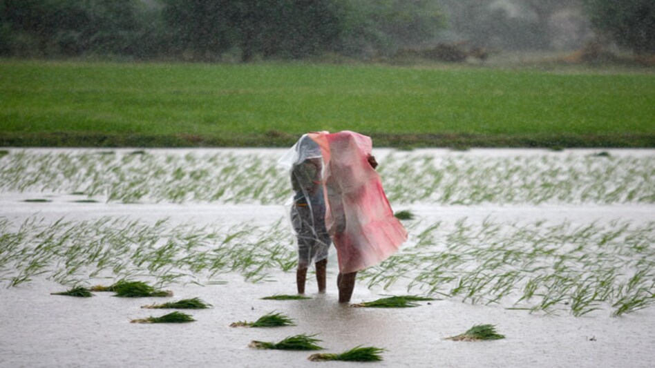 Now, free SMS service for farmers on extreme weather conditions Now, free SMS service for farmers on extreme weather conditions
