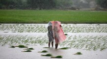 Six stocks you can invest as monsoon progresses positively