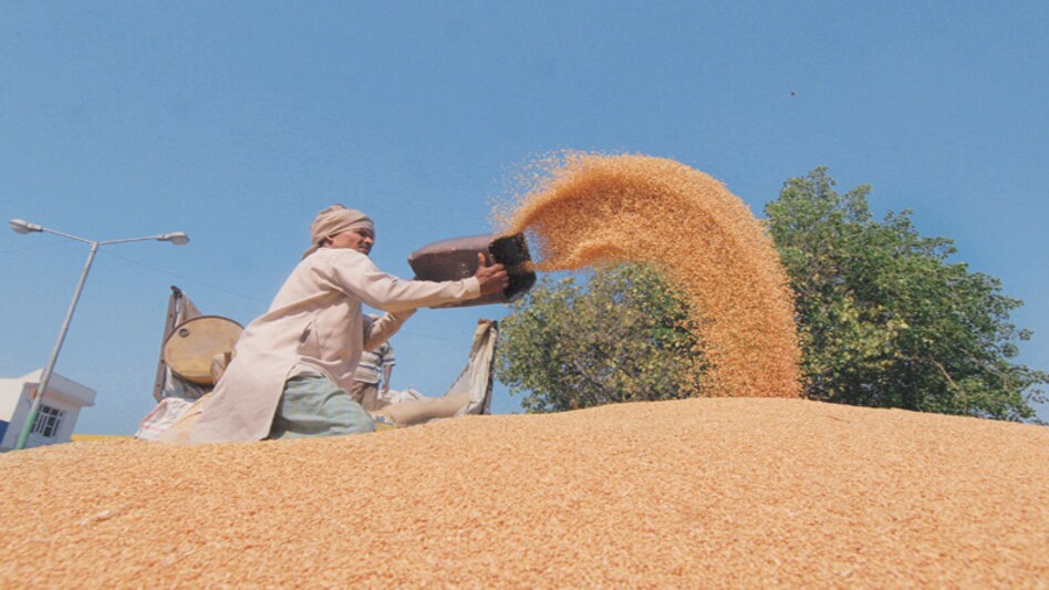 Govt expects full roll-out of $20 billion food welfare plan by December Govt expects full roll-out of $20 billion food welfare plan by December