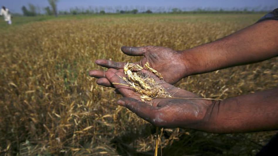 Dry spell wilts crops, stokes food inflation concerns - BusinessToday