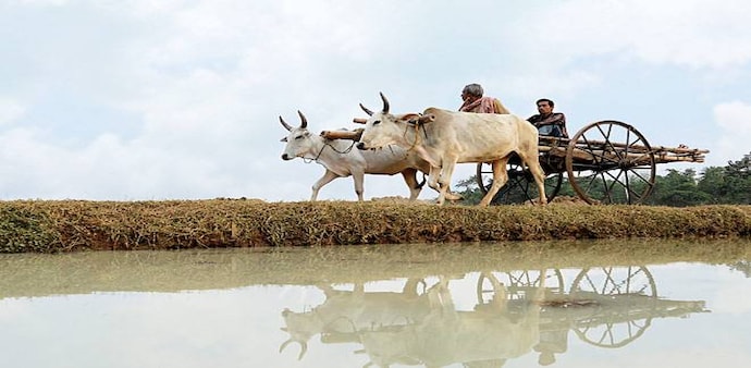 Photo: Shekhar Ghosh Photo: Shekhar Ghosh