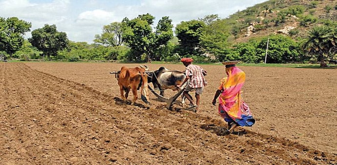 Fund Crunch: Levying cess could help the Centre fund the rural economy (Photo: Purushottam Diwakar) Fund Crunch: Levying cess could help the Centre fund the rural economy (Photo: Purushottam Diwakar)