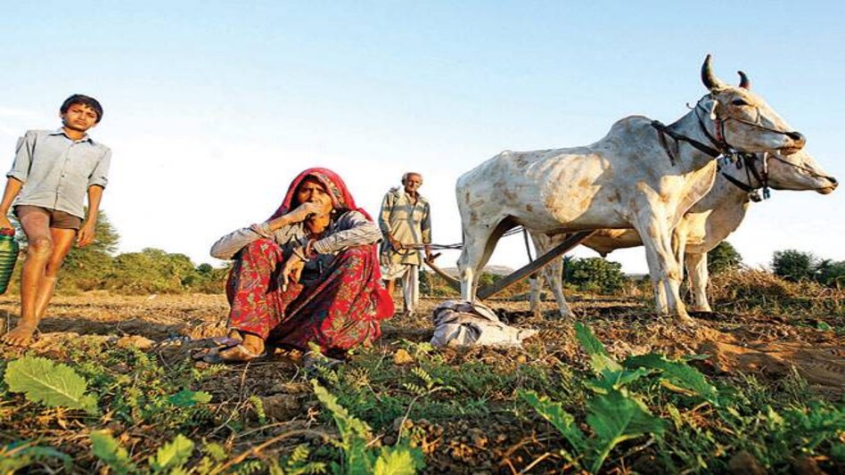 Photo: Shekhar Ghosh Photo: Shekhar Ghosh